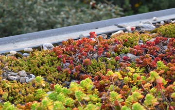 the cost of Sarsden green roof installation